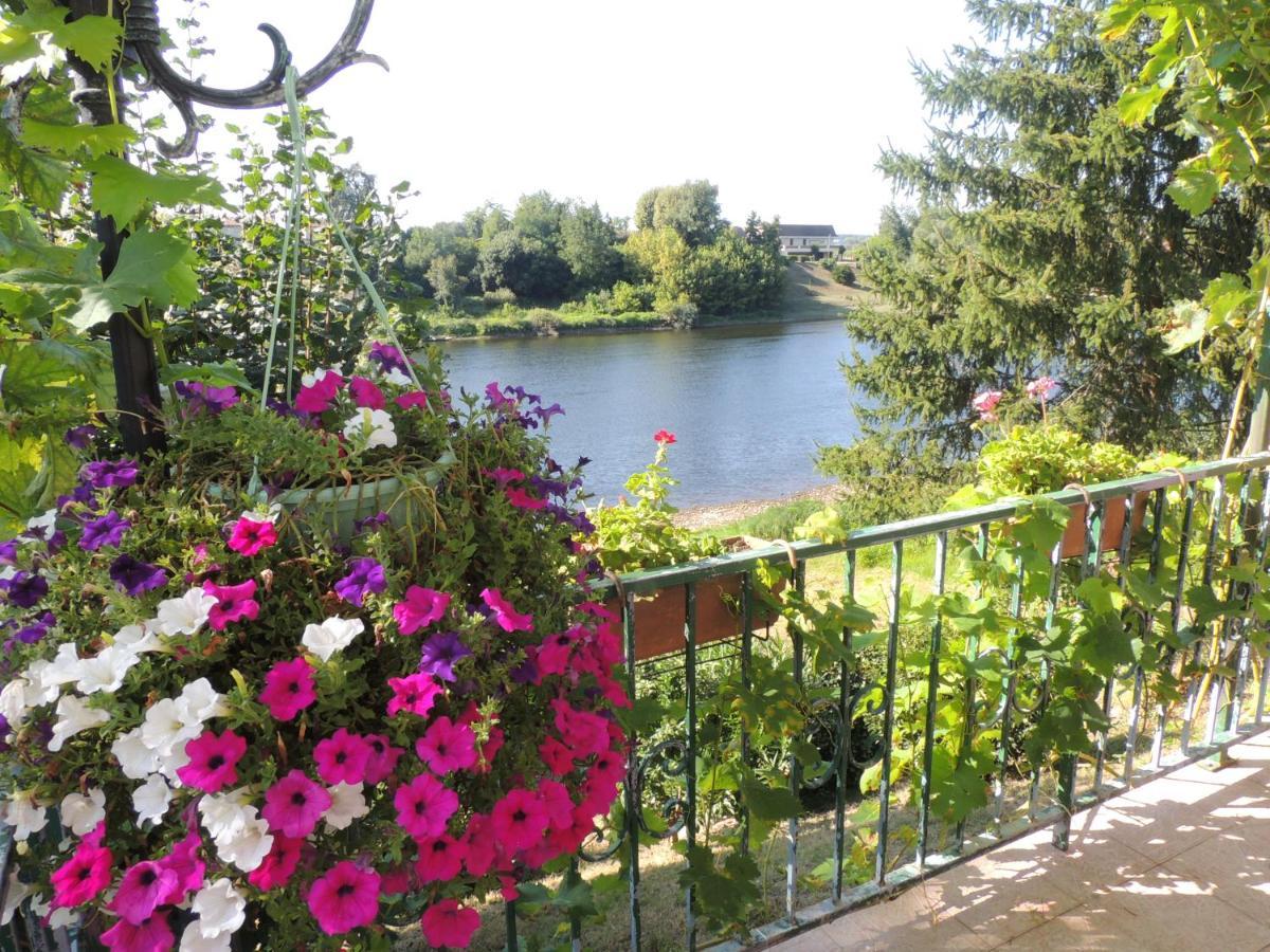 Le Jardin Des Cygnes Panzió Pineuilh Kültér fotó
